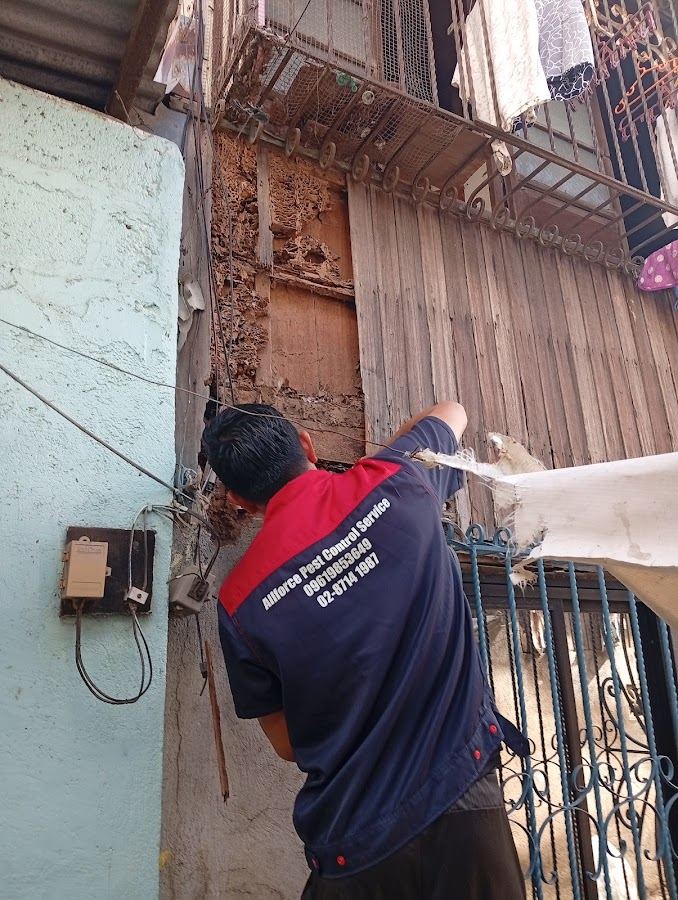 ALLFORCE PEST CONTROL SERVICES work photo